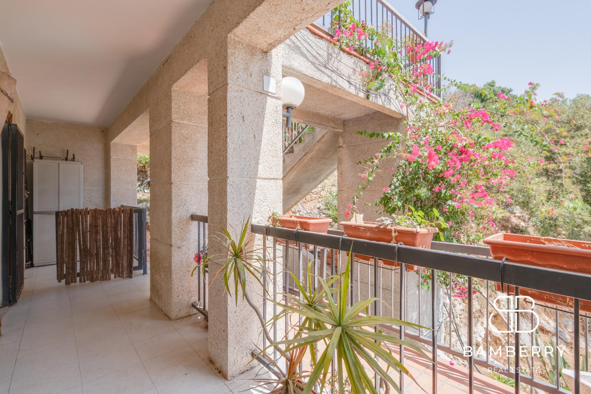 Pis ampli en una sola planta-54